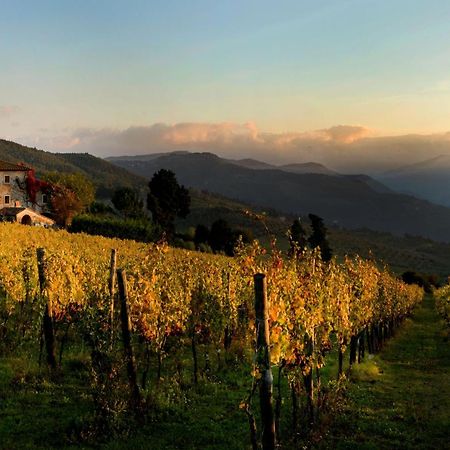 Agriturismo Fattoria Lavacchio Понтасиеве Екстериор снимка