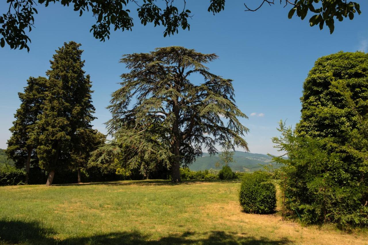 Agriturismo Fattoria Lavacchio Понтасиеве Екстериор снимка