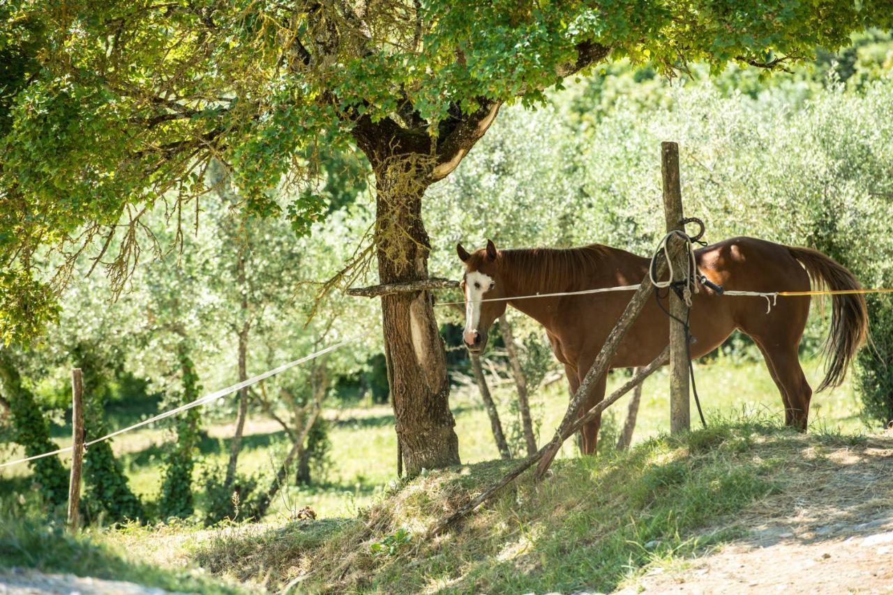Agriturismo Fattoria Lavacchio Понтасиеве Екстериор снимка
