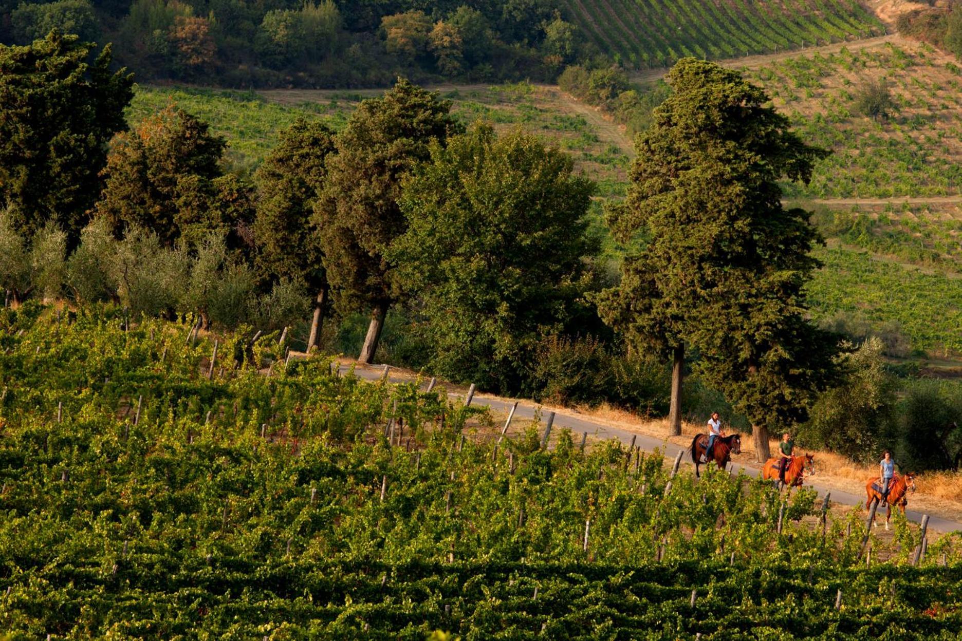 Agriturismo Fattoria Lavacchio Понтасиеве Екстериор снимка