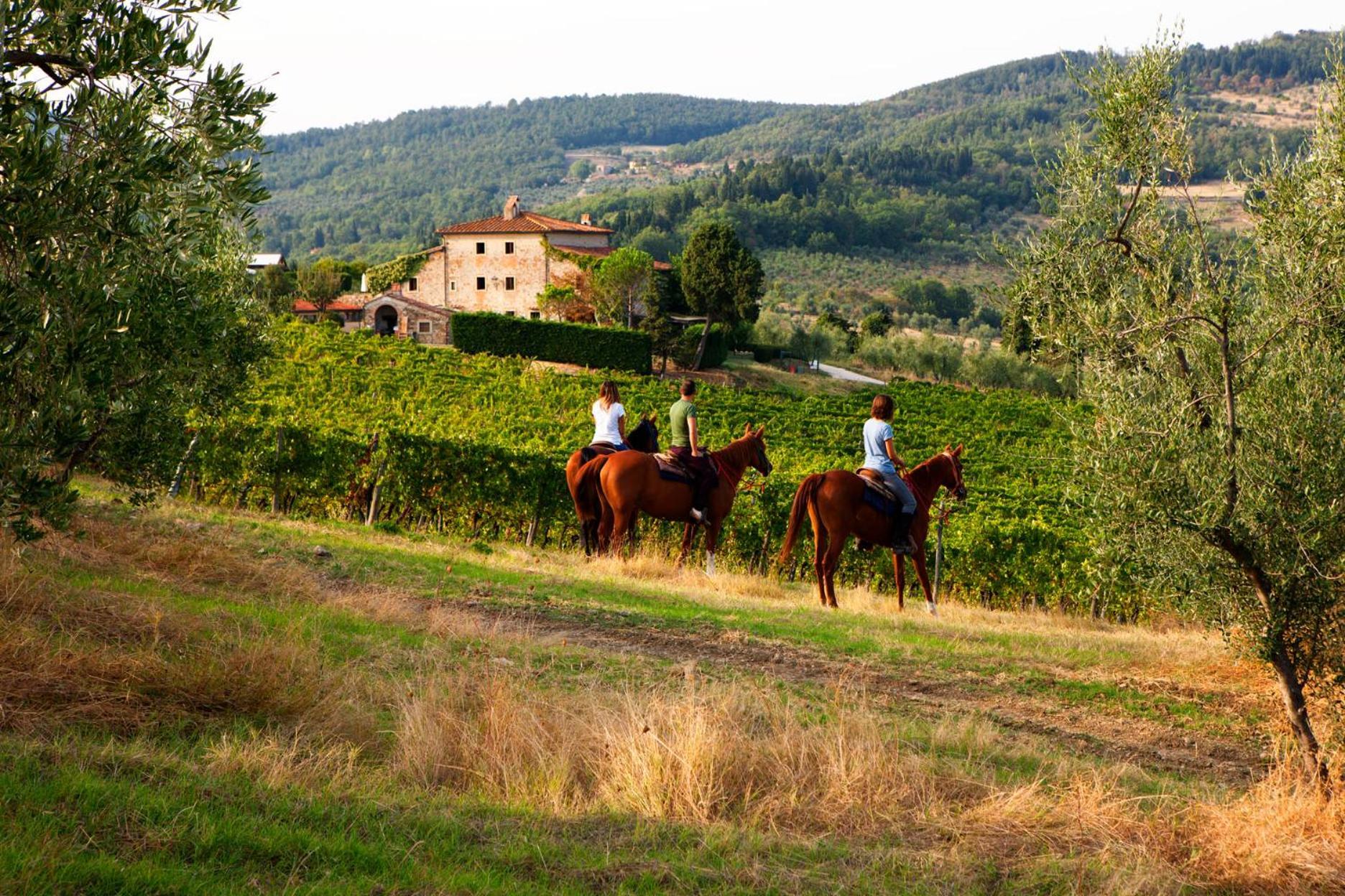 Agriturismo Fattoria Lavacchio Понтасиеве Екстериор снимка