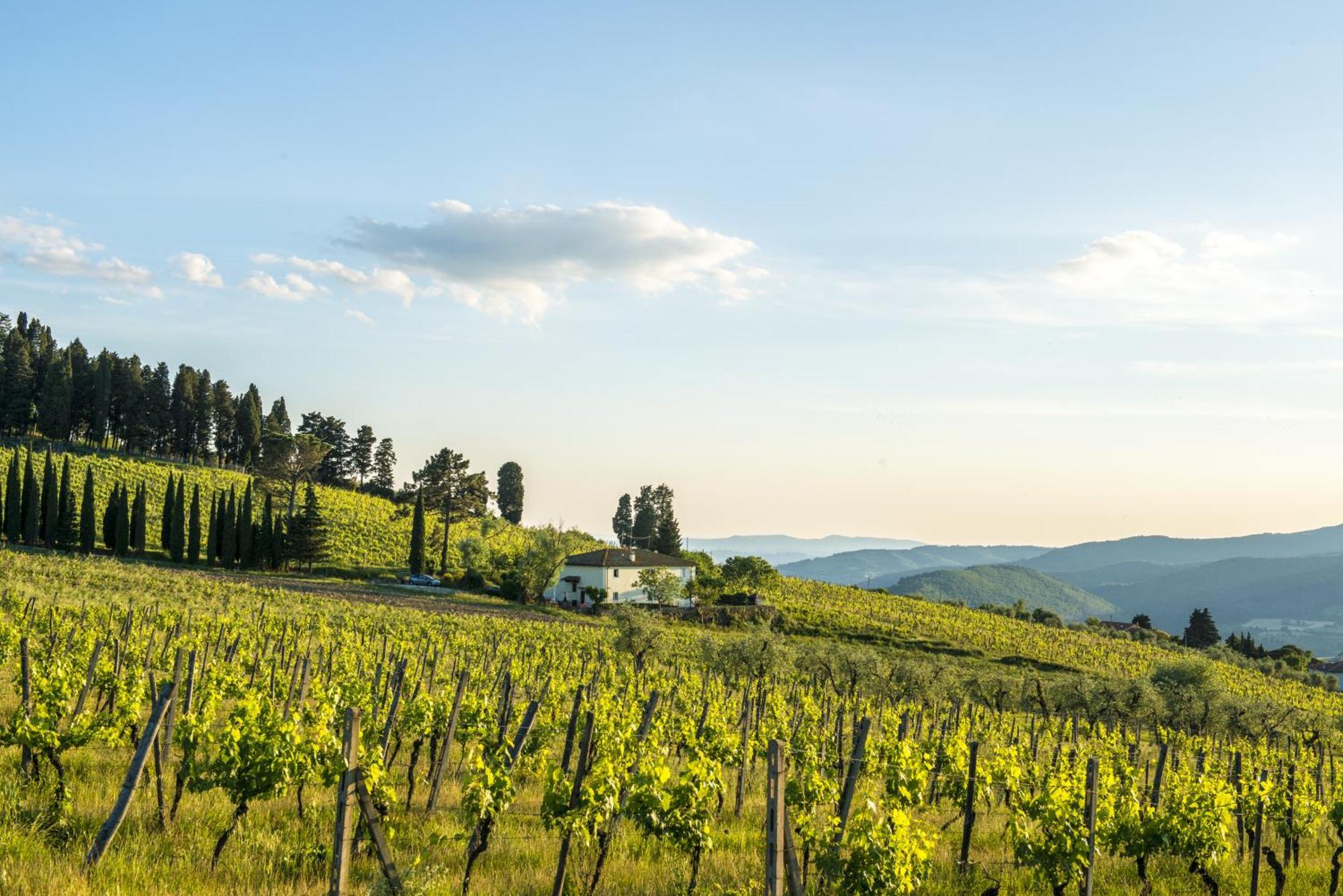 Agriturismo Fattoria Lavacchio Понтасиеве Стая снимка