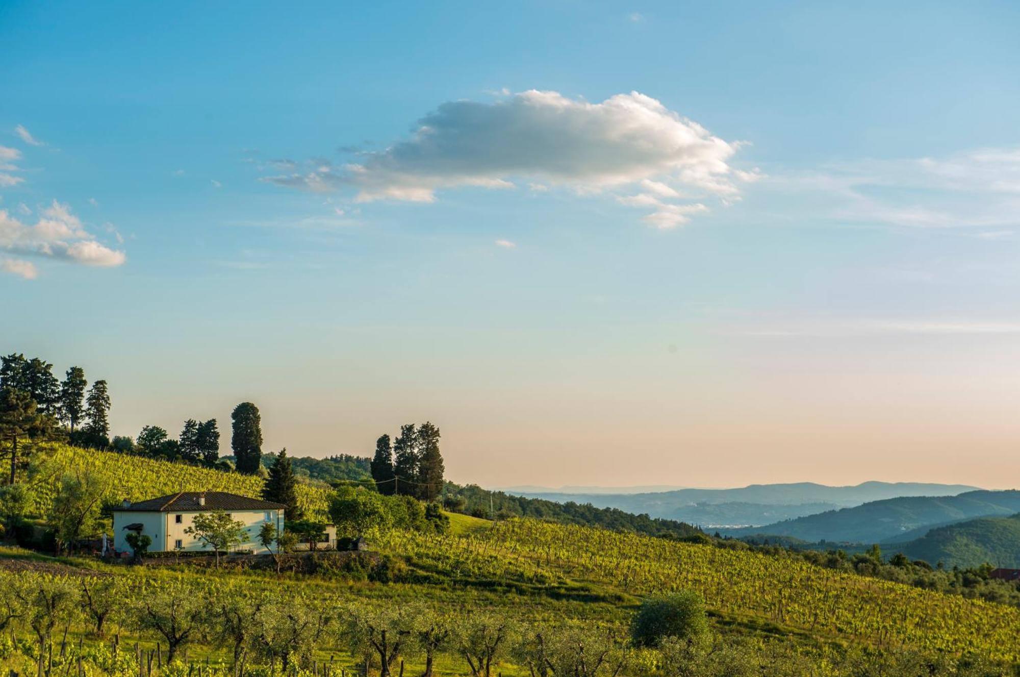 Agriturismo Fattoria Lavacchio Понтасиеве Стая снимка
