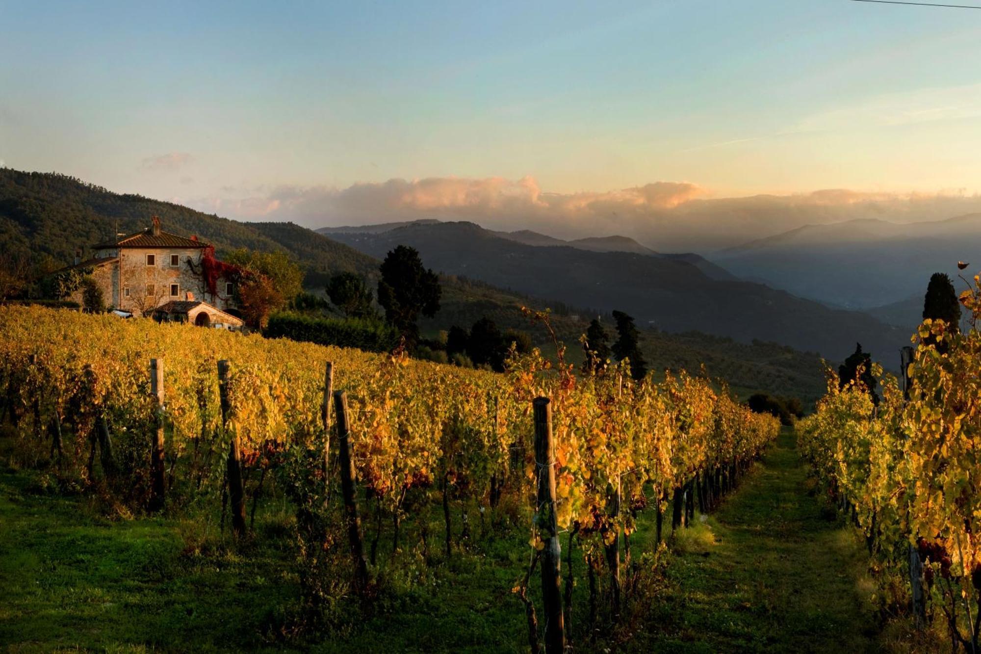 Agriturismo Fattoria Lavacchio Понтасиеве Екстериор снимка